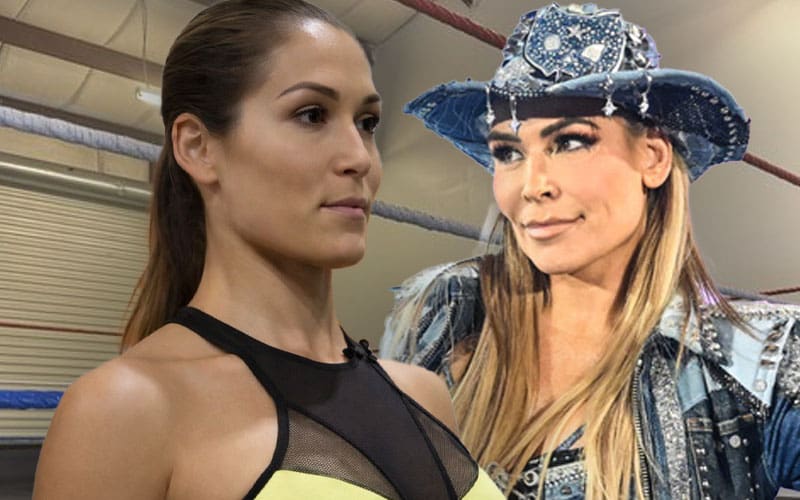 From The Red Carpet To The Wrestling Mat Nikki Bella Reclaims Her Edge In The Dungeon Before Title Showdown