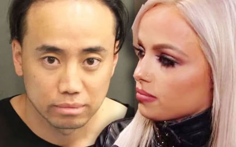 Legal Maneuvers and Mental Health Claims Reshape the Judicial Proceedings Surrounding the Security of WWE Talent Liv Morgan