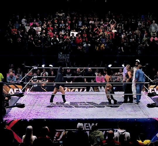 The Global Pulse: Fan Voices Shape the Year’s Most Electrifying Performers