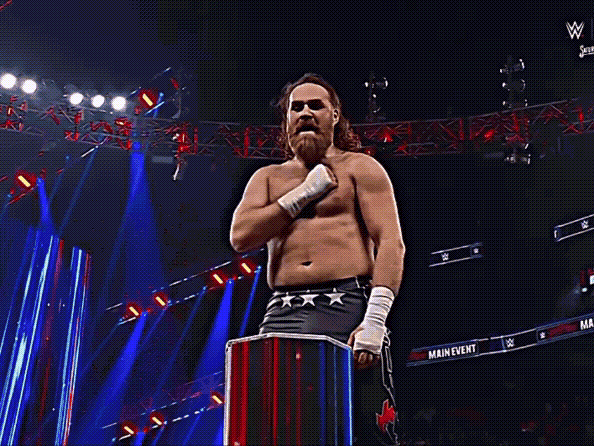 The Grand Tapestry of Fan Opinion: Charting the Peaks and Valleys of Wrestling’s Elite